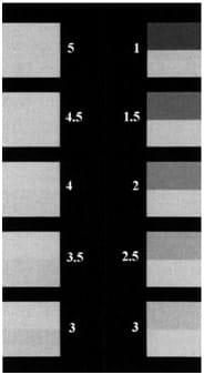 Gray Scale for Staining