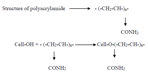 Structure of polyacrylamide