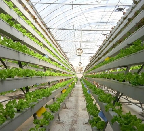 vertical farming