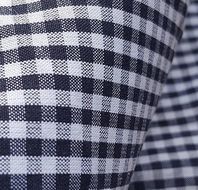 Gingham fabric