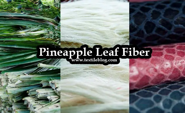 Pineapple Leaf Fiber