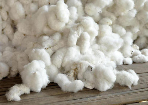 cotton fiber