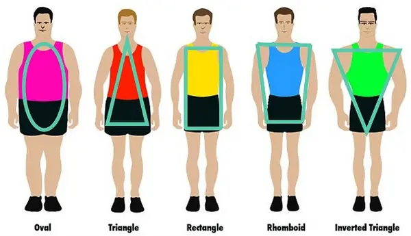 Male body shapes