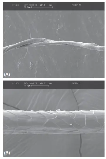 Typical low-magnification SEM images of (A) cotton and (B) wool.
