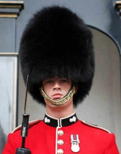 bearskin