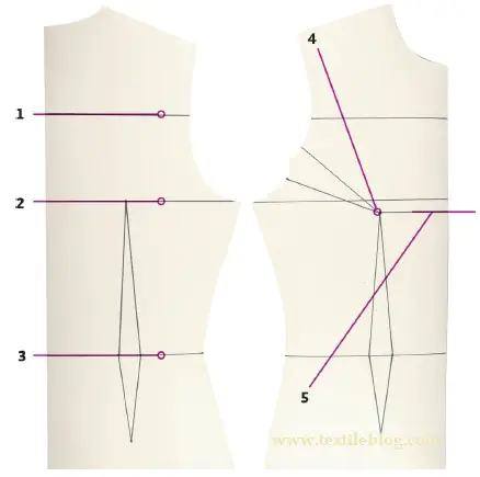 Master Pattern for Pencil Skirt of body part