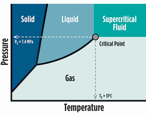 Supercritical fluid dyeing