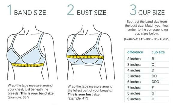 Bra sizes measuring method