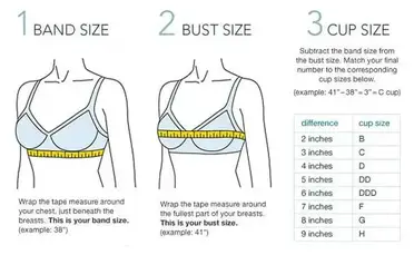Bra or Brassiere: History, Types, Parts, Sizes and Fittings