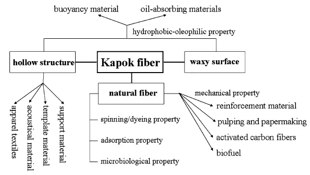 Representative relationship between structure, properties, and applications for kapok fiber