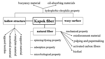 Kapok or Capok Fibres - Textile School