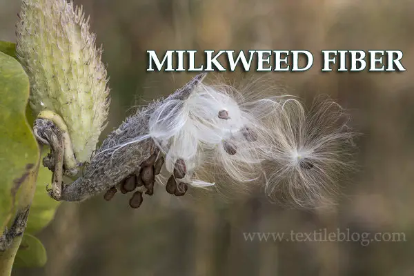 milkweed fiber