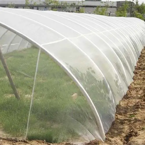 Anti-Insect net
