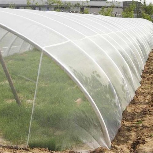 Anti-Insect net