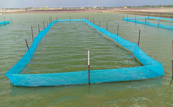 Aquaculture Net