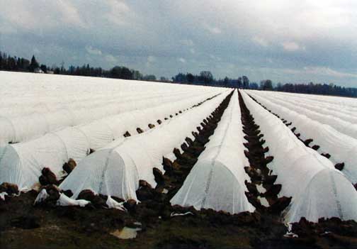 Cold and frost control net