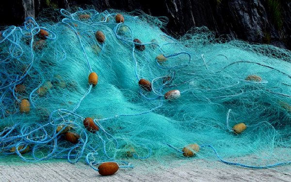 Fishing net