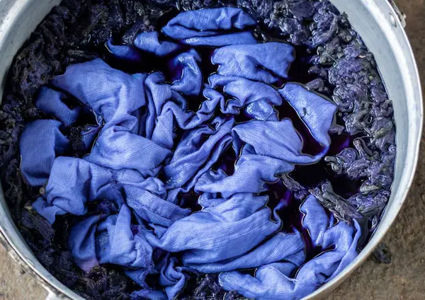cotton dyeing process