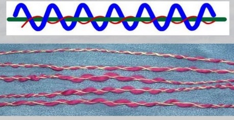 Structure of Gimp yarn