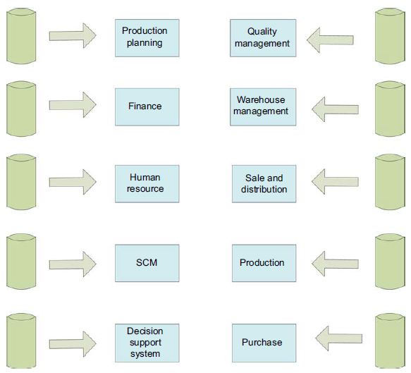 Management information system before ERP system implementation