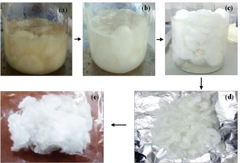 silk degumming process