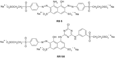 Structure of reactive dyes for cotton
