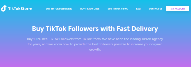 TikTok Growth Service