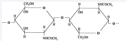 Chemical structure of chitin