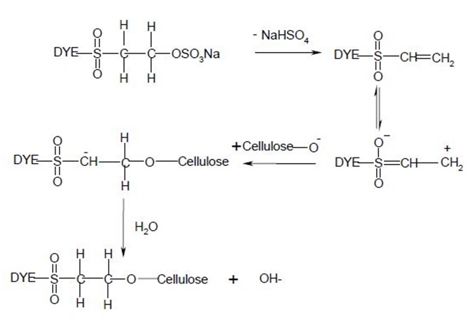 Nucleophilic Addition Involving to a Vinylsulphone Dye and Cellulose