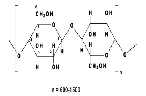 Poly-(1, 4)-β-D-glucopyranose Molecule