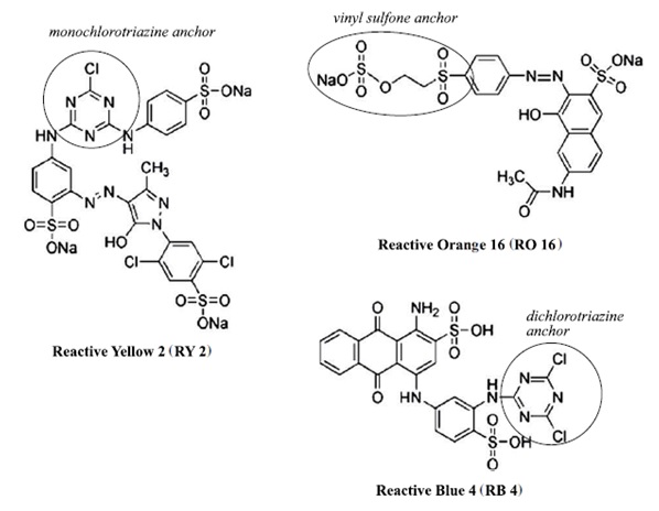 Poly functional or multifunctional reactive dyes