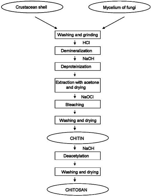 Preparation of chitin and chitosan from raw material