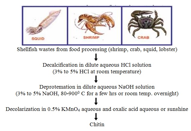 Preparation of chitin