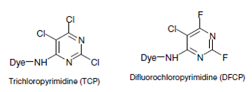 Pyridimine group