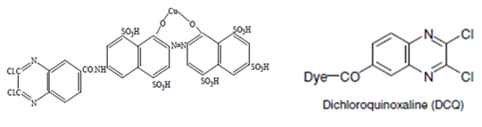 Quinoxaline dyes