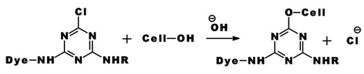 Reaction of a Monochlorotriazine Dye with Cellulose
