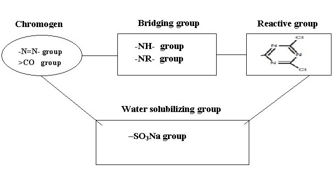 Typical Components of a Reactive Dye