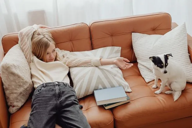 vải hiệu năng cao dành cho ghế sofa