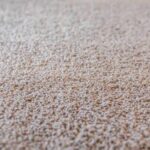 nylon vs polyester carpet