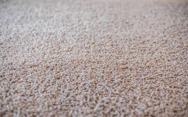 nylon vs polyester carpet
